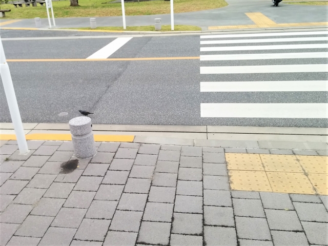 シニアカー・セニアカーでの事故等にご注意を2。 b08828c57157515f7fce90340b080564_s